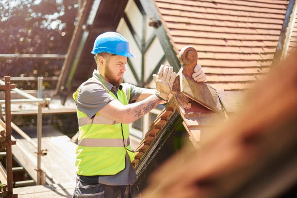 Best Roof Gutter Cleaning  in Decorah, IA
